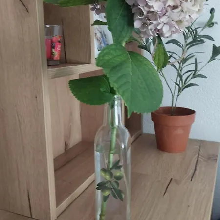 Odore Di Mare Apartman *